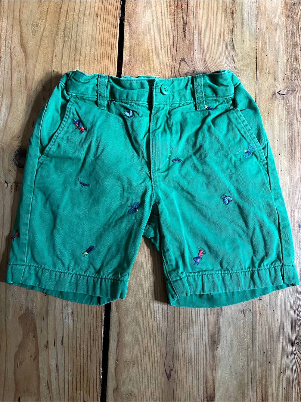 HANNA ANDERSSON 120 Green Insect Embroidered Shorts Chino